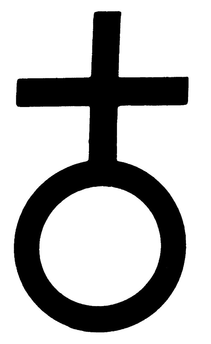 Random Inverted Image