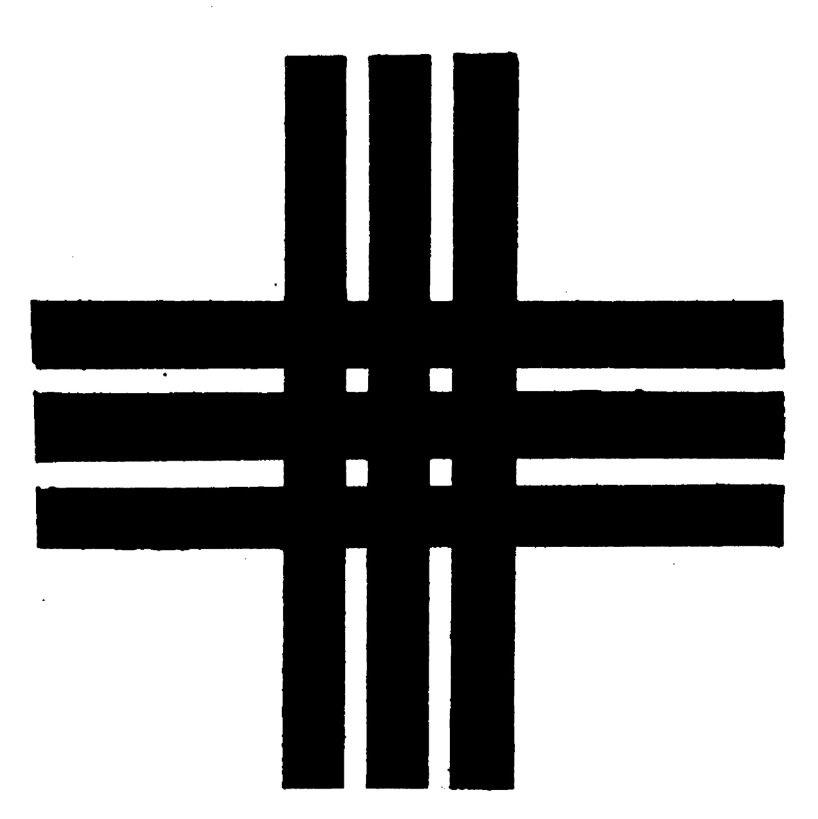 Random Inverted Image
