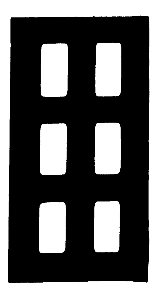 Random Inverted Image