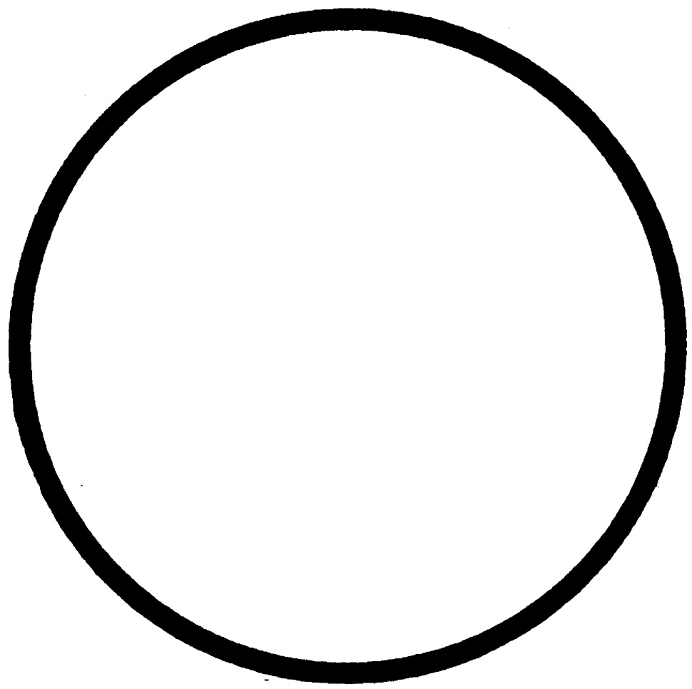 Random Inverted Image