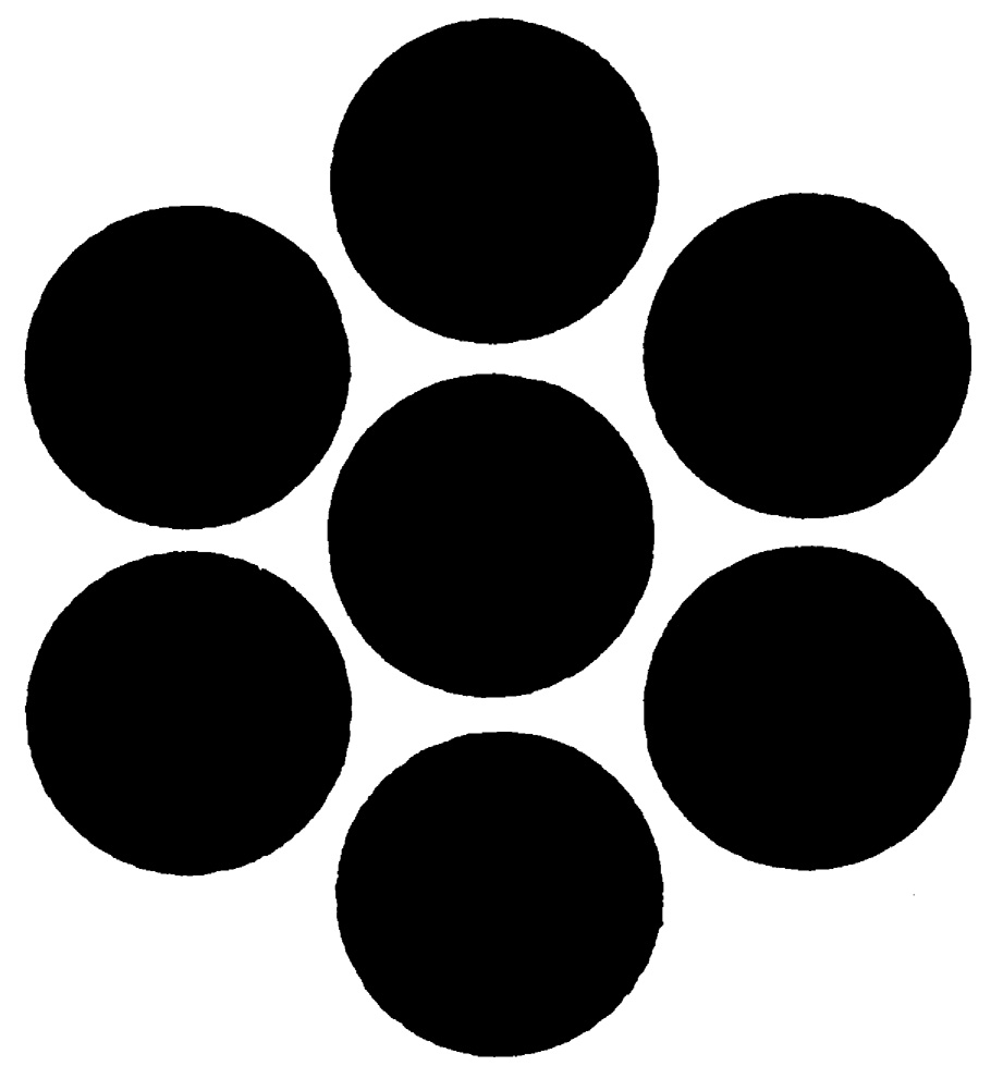 Random Inverted Image