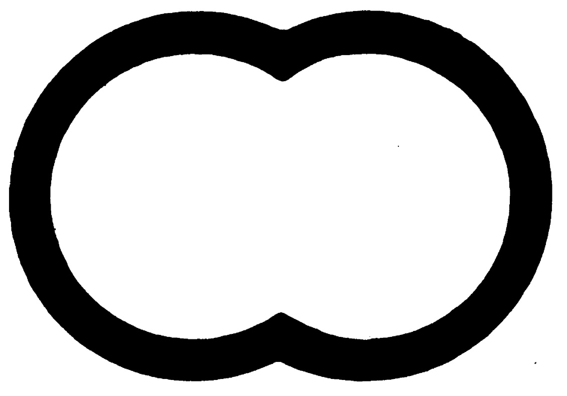 Random Inverted Image