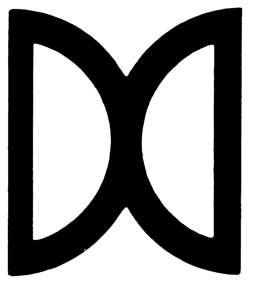 Random Inverted Image