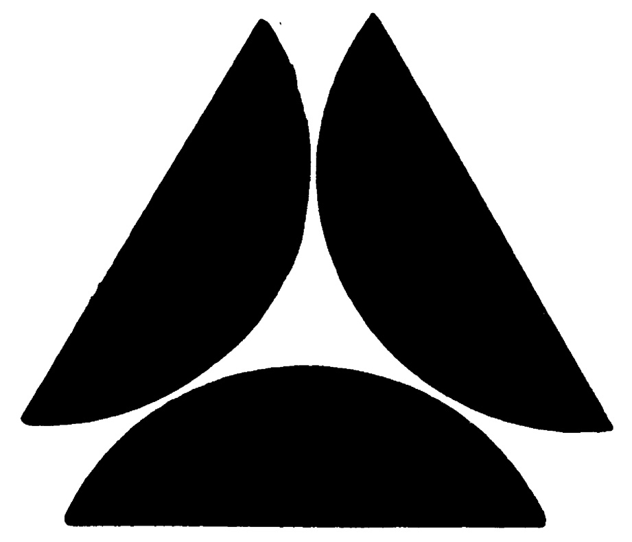 Random Inverted Image